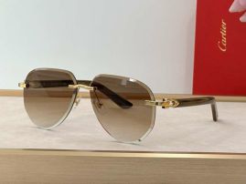 Picture of Cartier Sunglasses _SKUfw55707454fw